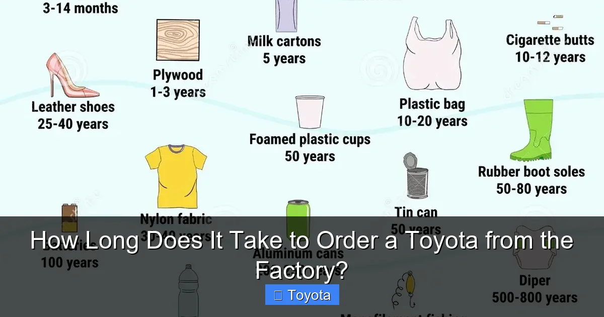 How Long Does It Take to Order a Toyota from the Factory?