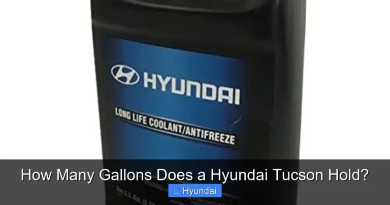 How Many Gallons Does a Hyundai Tucson Hold?