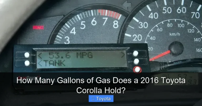 How Many Gallons of Gas Does a 2016 Toyota Corolla Hold?