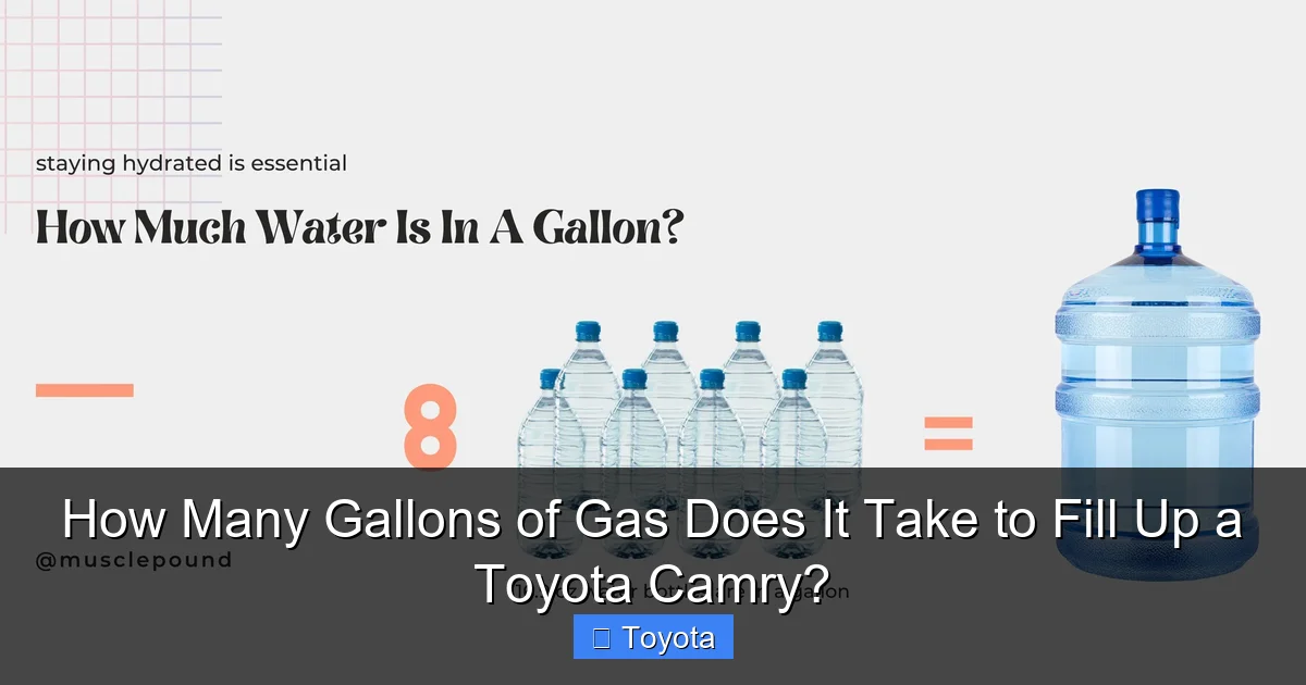 How Many Gallons of Gas Does It Take to Fill Up a Toyota Camry?