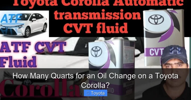 How Many Quarts for an Oil Change on a Toyota Corolla?