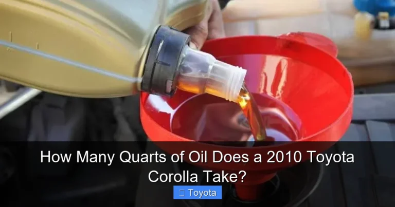 How Many Quarts of Oil Does a 2010 Toyota Corolla Take?