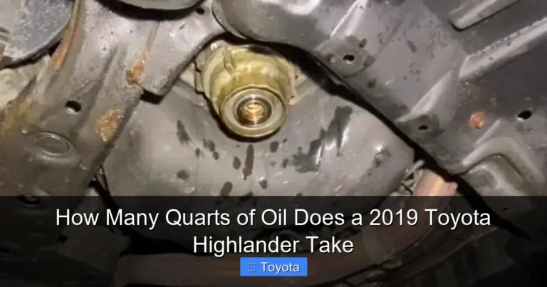 How Many Quarts of Oil Does a 2019 Toyota Highlander Take