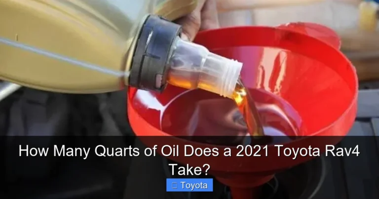 How Many Quarts of Oil Does a 2021 Toyota Rav4 Take?