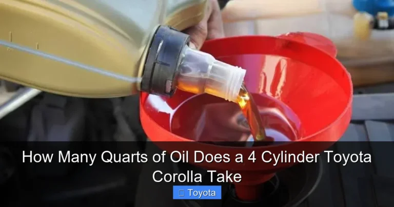 How Many Quarts of Oil Does a 4 Cylinder Toyota Corolla Take