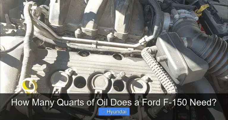 How Many Quarts of Oil Does a Ford F-150 Need?