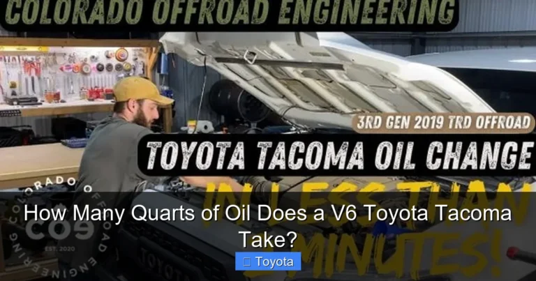 How Many Quarts of Oil Does a V6 Toyota Tacoma Take?
