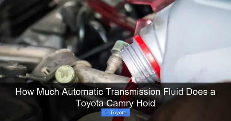 How Much Automatic Transmission Fluid Does a Toyota Camry Hold