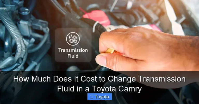 How Much Does It Cost to Change Transmission Fluid in a Toyota Camry