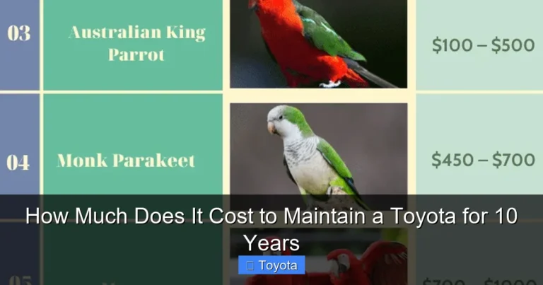 How Much Does It Cost to Maintain a Toyota for 10 Years