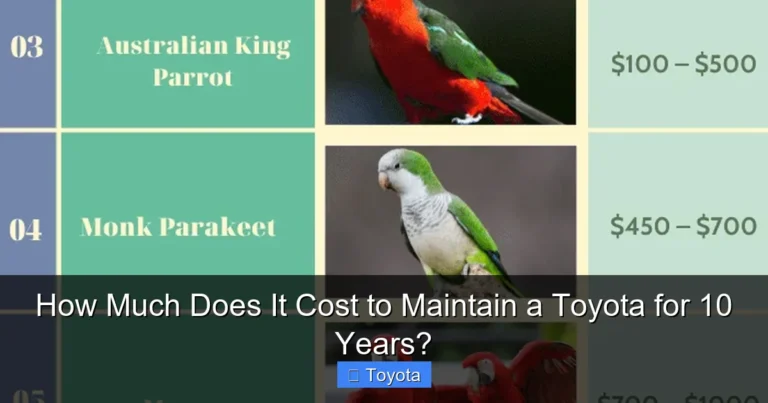 How Much Does It Cost to Maintain a Toyota for 10 Years?