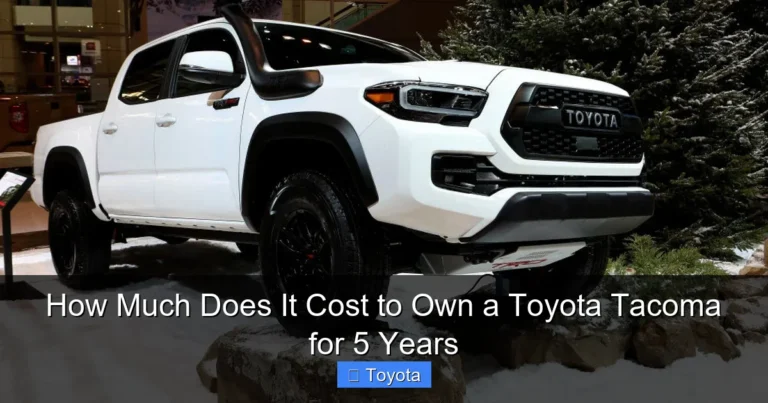 How Much Does It Cost to Own a Toyota Tacoma for 5 Years
