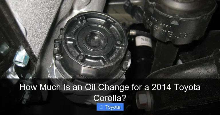How Much Is an Oil Change for a 2014 Toyota Corolla?