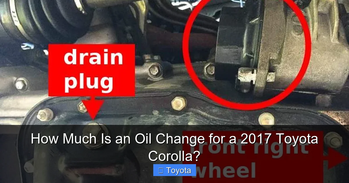 How Much Is an Oil Change for a 2017 Toyota Corolla?