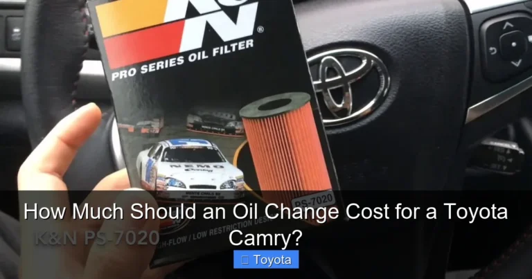 How Much Should an Oil Change Cost for a Toyota Camry?