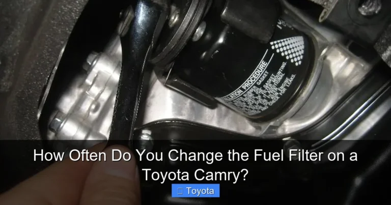How Often Do You Change the Fuel Filter on a Toyota Camry?
