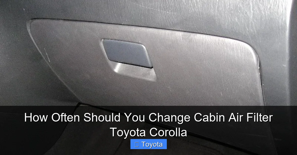 How Often Should You Change Cabin Air Filter Toyota Corolla