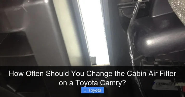 How Often Should You Change the Cabin Air Filter on a Toyota Camry?