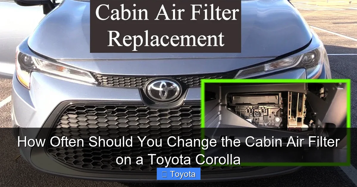 How Often Should You Change the Cabin Air Filter on a Toyota Corolla