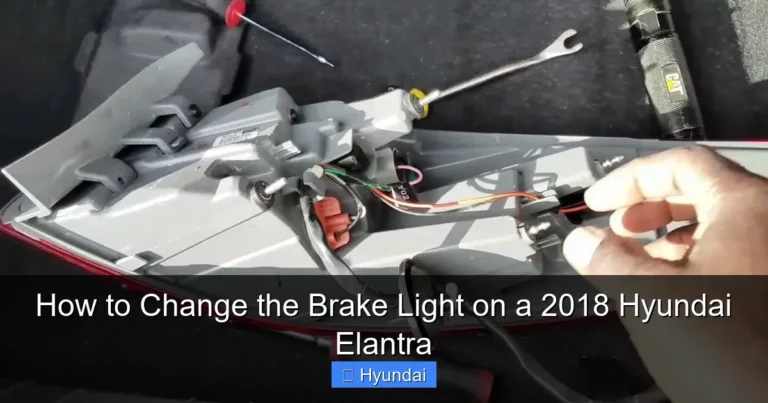 How to Change the Brake Light on a 2018 Hyundai Elantra