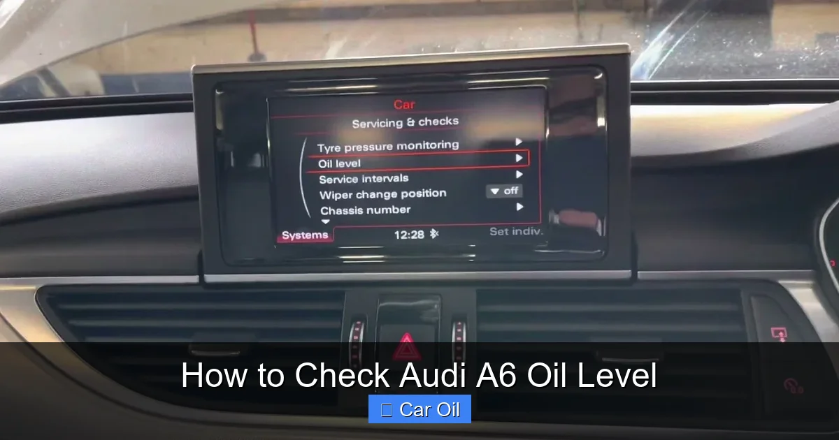 How to Check Audi A6 Oil Level