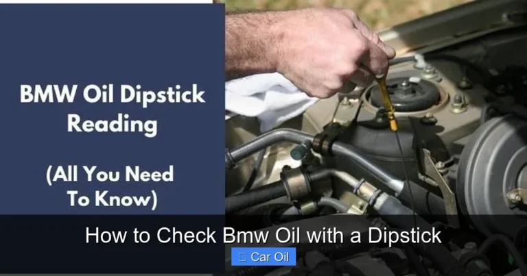 How to Check Bmw Oil with a Dipstick