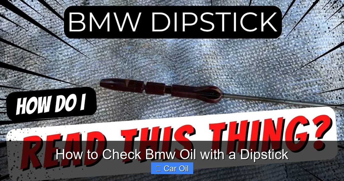 How to Check Bmw Oil with a Dipstick