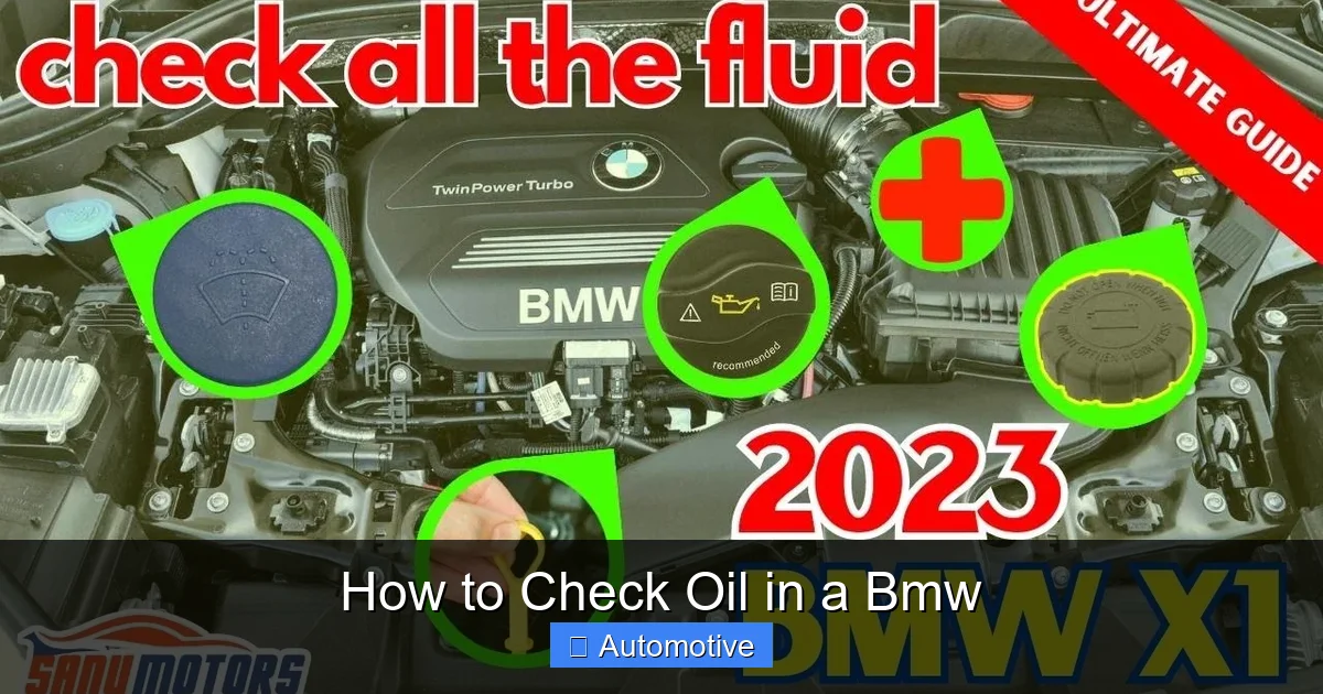 How to Check Oil in a Bmw