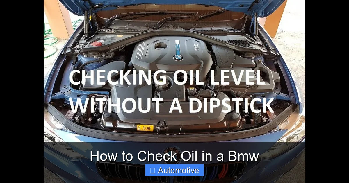How to Check Oil in a Bmw
