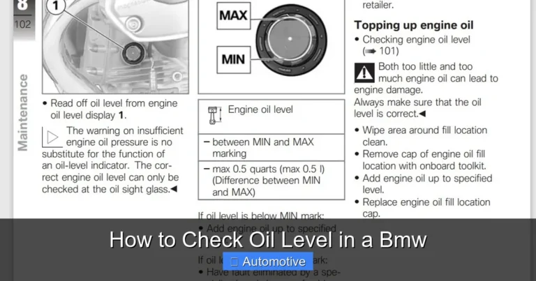 How to Check Oil Level in a Bmw