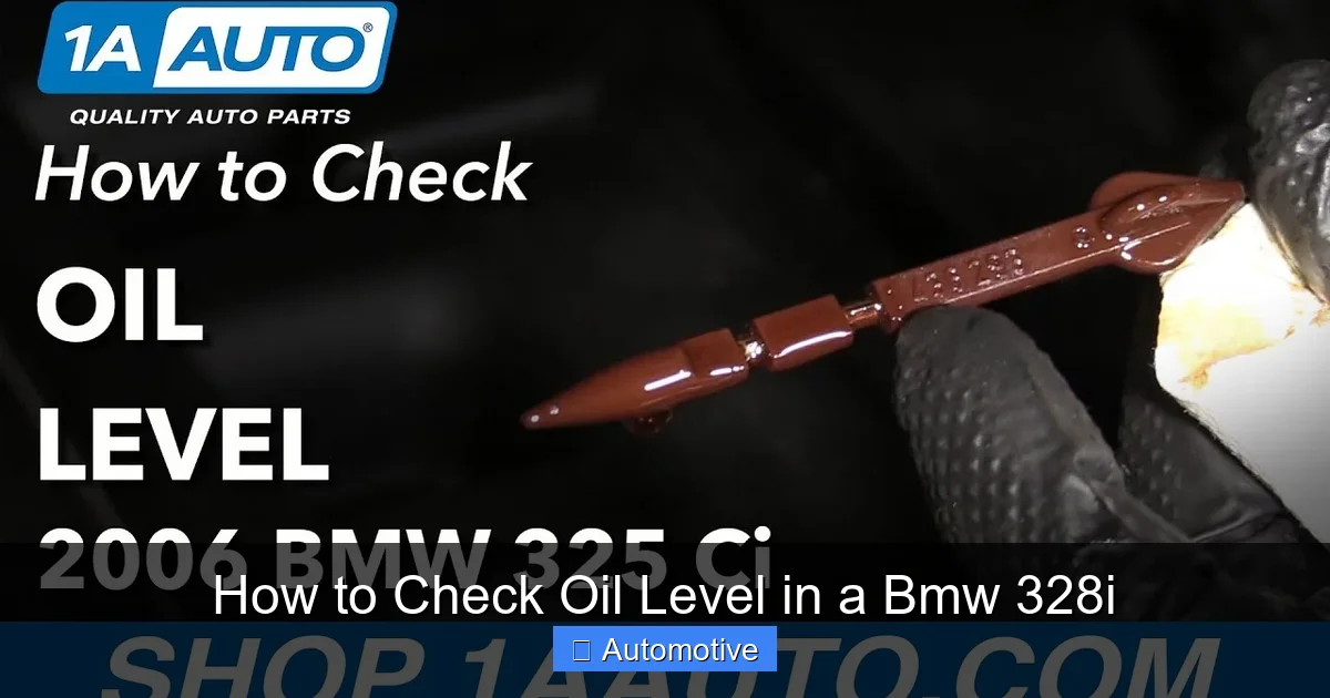 How to Check Oil Level in a Bmw 328i