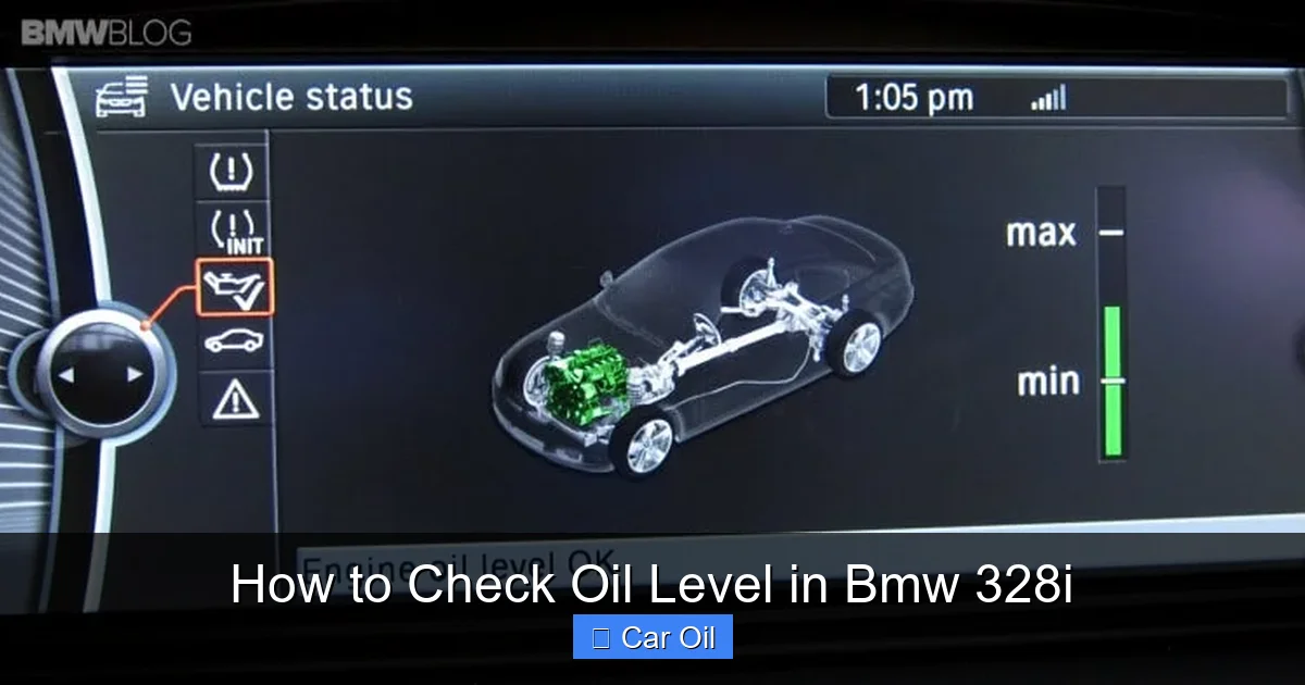 How to Check Oil Level in Bmw 328i