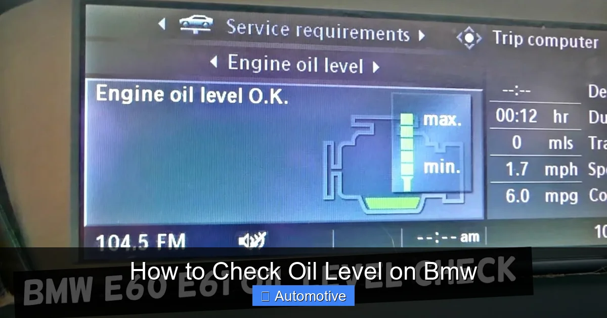 How to Check Oil Level on Bmw