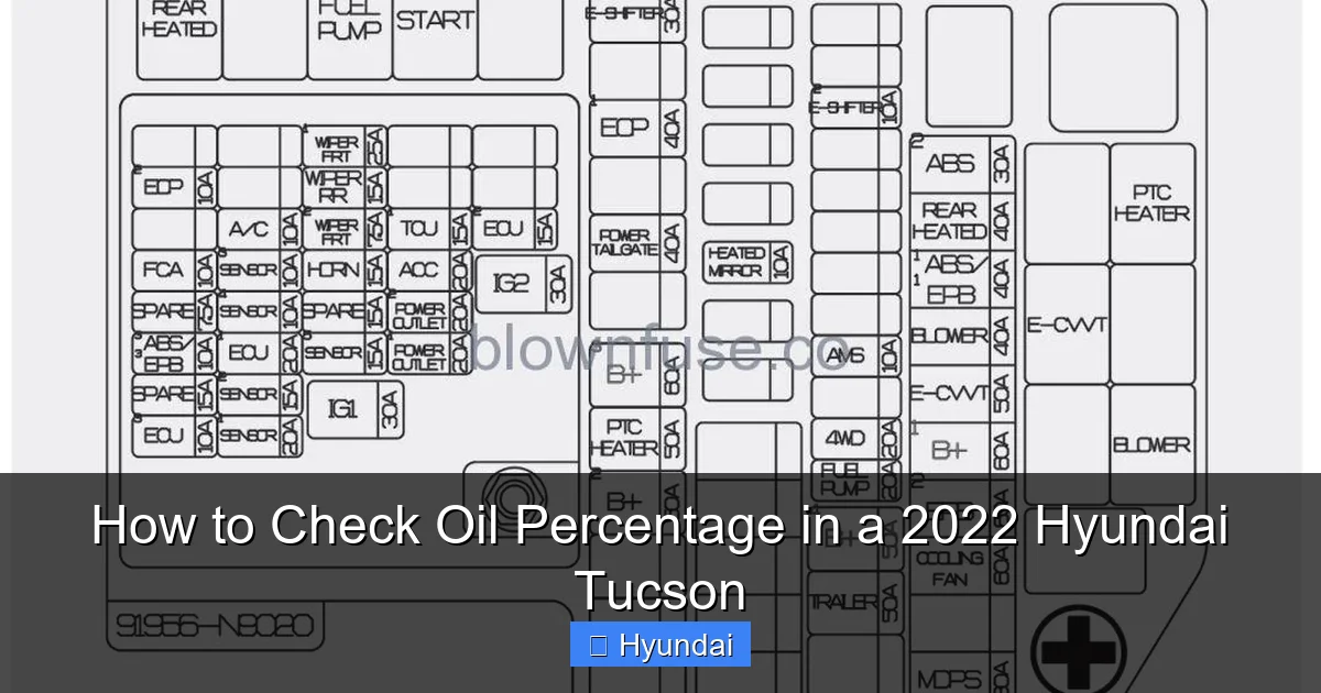 How to Check Oil Percentage in a 2022 Hyundai Tucson