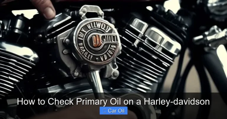How to Check Primary Oil on a Harley-davidson