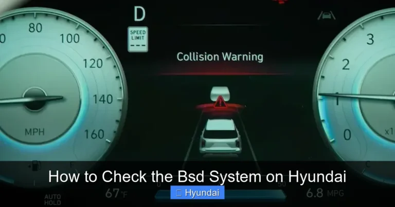 How to Check the Bsd System on Hyundai