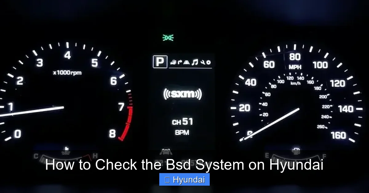 How to Check the Bsd System on Hyundai