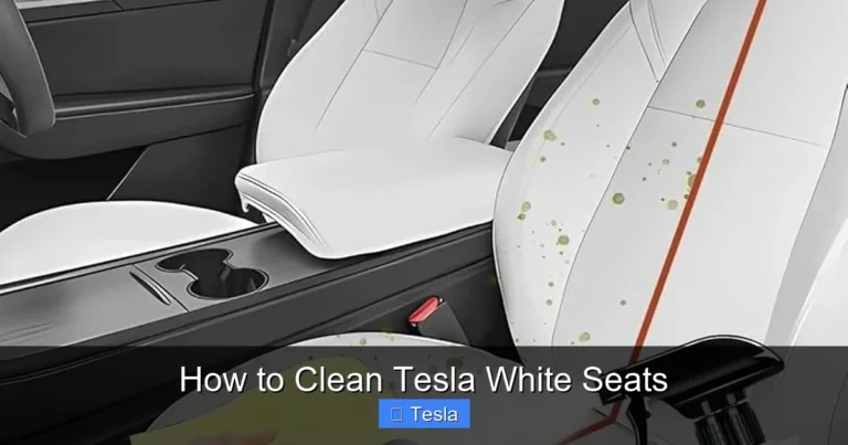 How to Clean Tesla White Seats