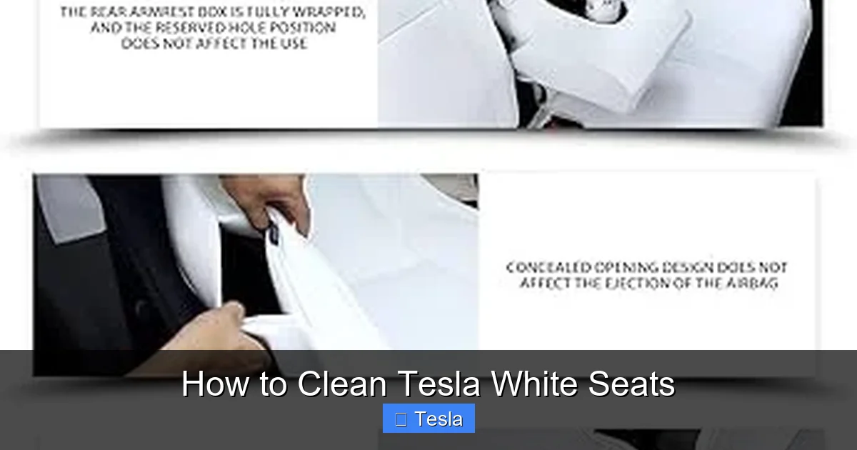 How to Clean Tesla White Seats