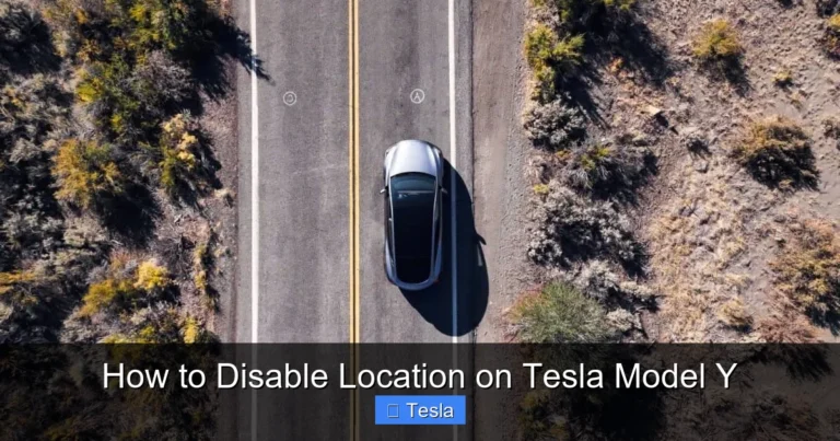 How to Disable Location on Tesla Model Y