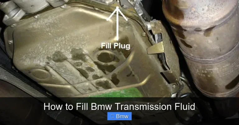 How to Fill Bmw Transmission Fluid