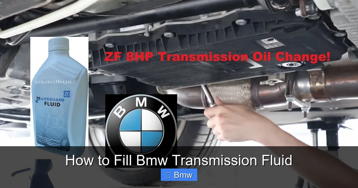 How to Fill Bmw Transmission Fluid