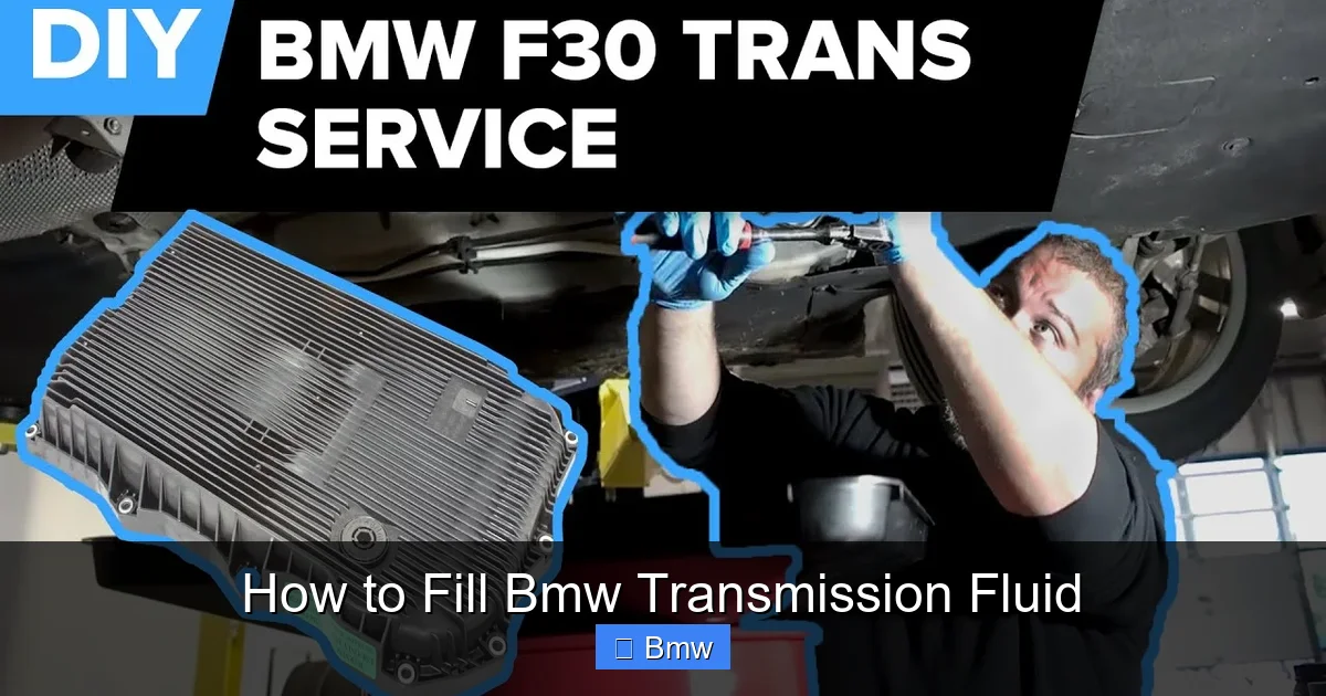 How to Fill Bmw Transmission Fluid
