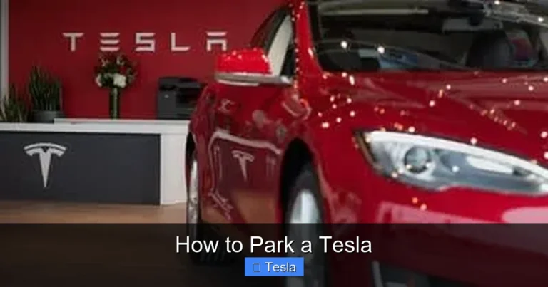 How to Park a Tesla