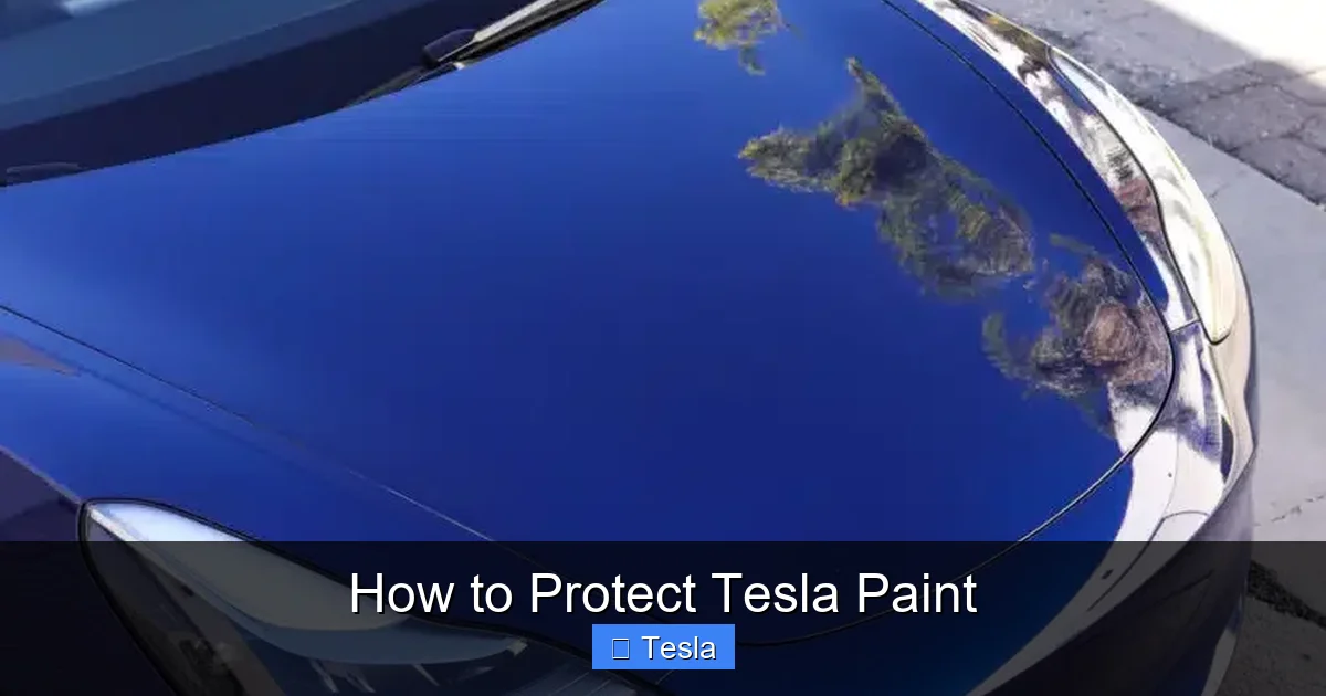 How to Protect Tesla Paint