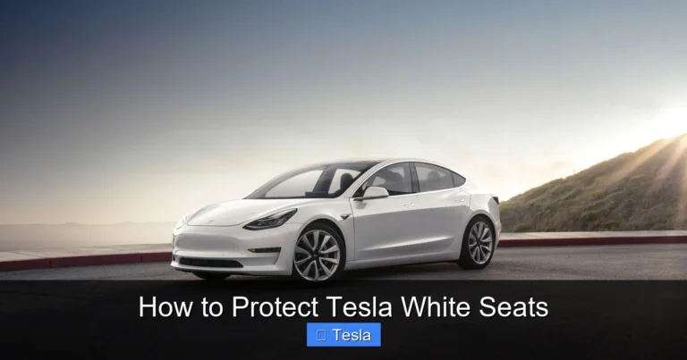 How to Protect Tesla White Seats