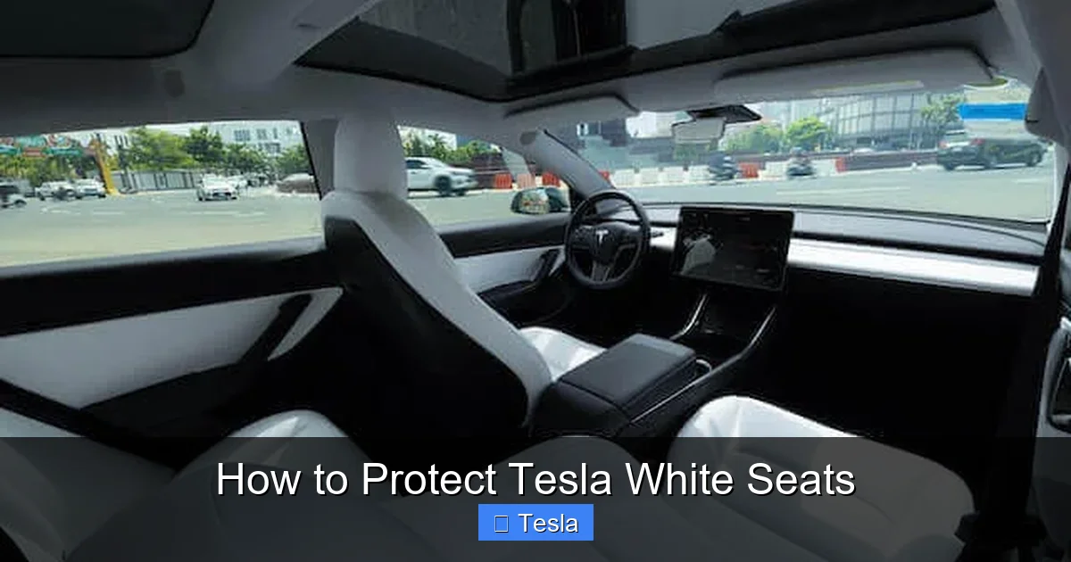 How to Protect Tesla White Seats