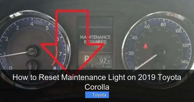 How to Reset Maintenance Light on 2019 Toyota Corolla