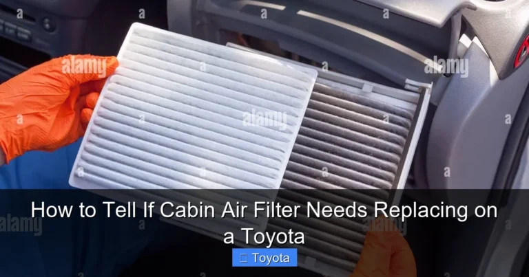 How to Tell If Cabin Air Filter Needs Replacing on a Toyota