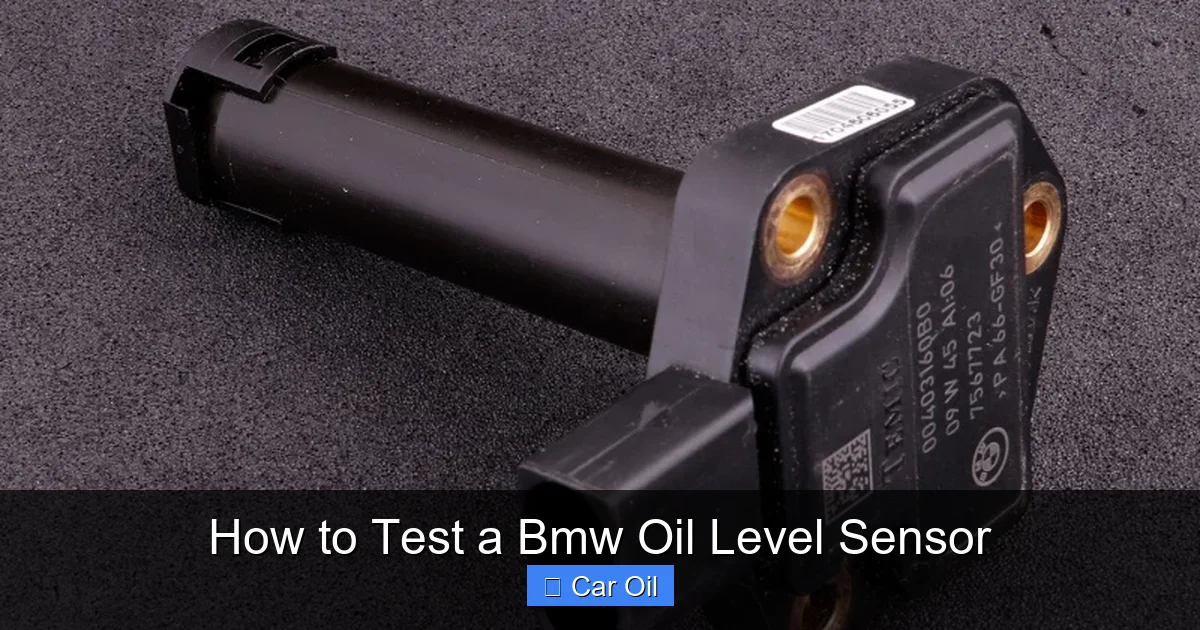 How to Test a Bmw Oil Level Sensor